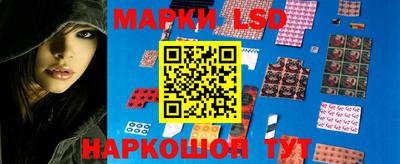 ПСИЛОЦИБИНОВЫЕ ГРИБЫ Бийск