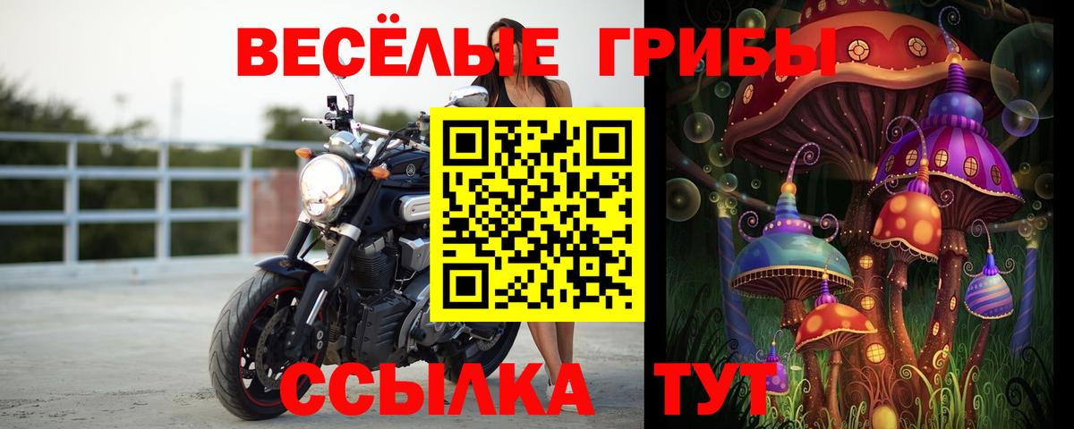 Дмитров  Псилоцибиновые грибы прущие грибы  Псилоцибиновые грибы Cubensis  Вход с VPN 