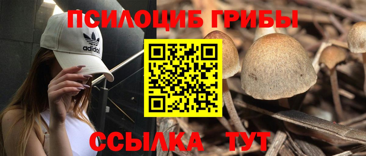 Галлюциногенные грибы прущие грибы Дмитров